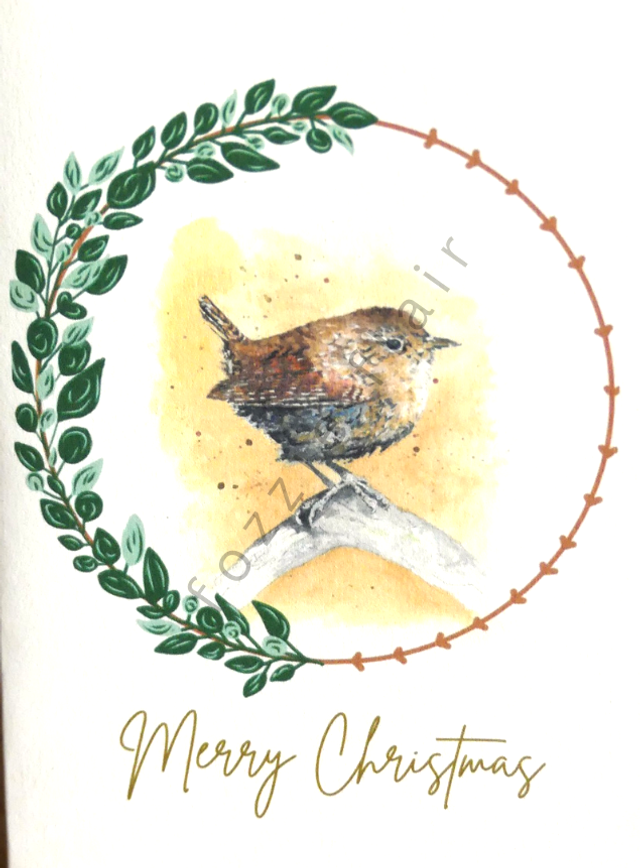 Christmas Wren (Christmas Card)