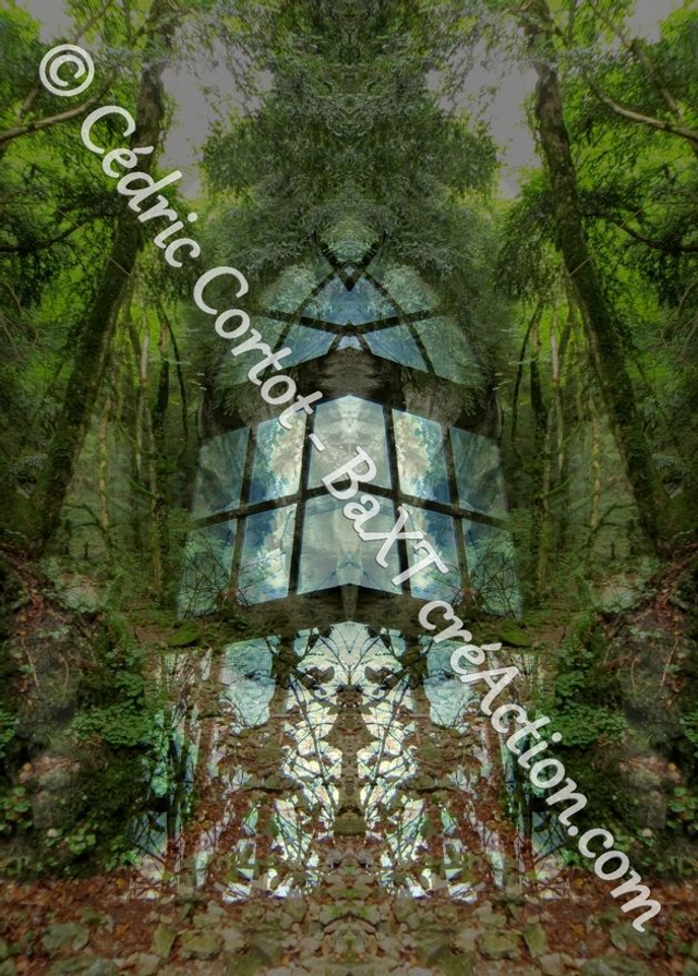 Carte postale - Entre réel et irréel (Ref IMG_3685-2)