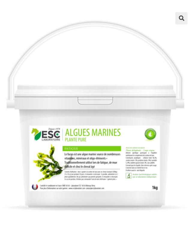 ALGUES MARINES – Fatigue et baisse de forme cheval – Plante pure