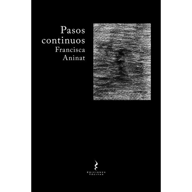 Pasos Continuos. Francisca Aninat