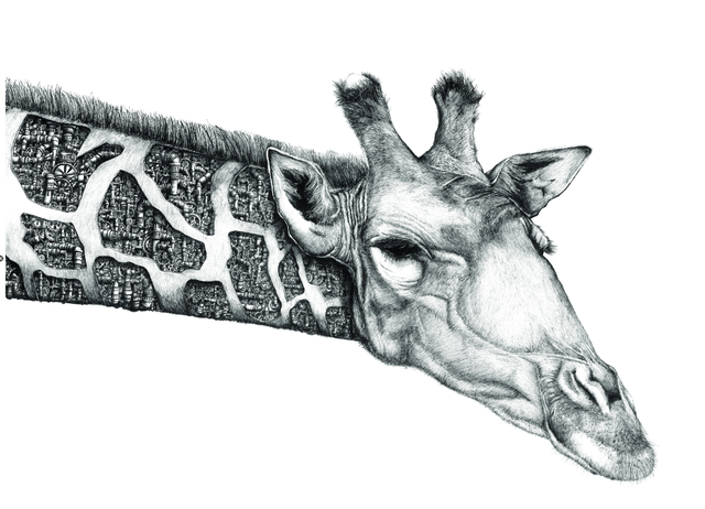 Girafe - Edition Art