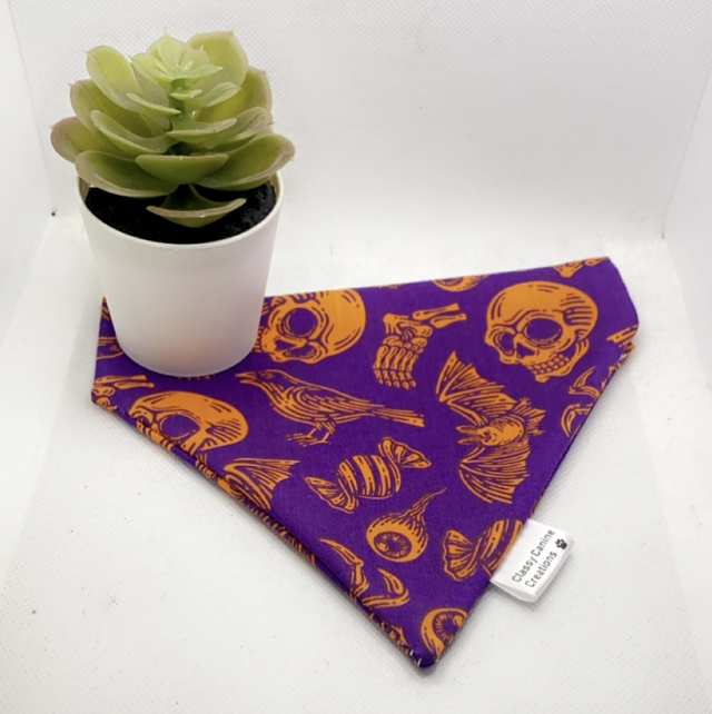 What you pumpkin at? 