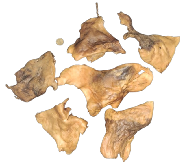 Plaque de peau de bœuf