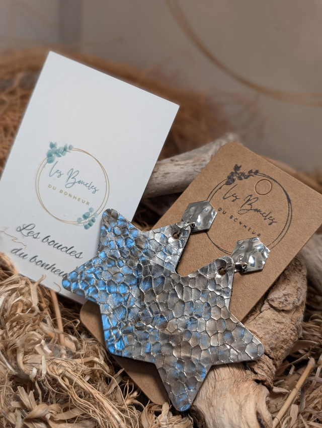 Boucles d'oreilles Étoile s154