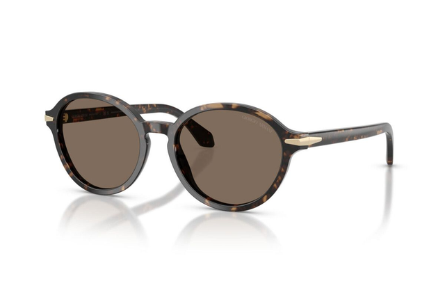 Eyewear Woman Giorgio Armani  AR 8237 623573