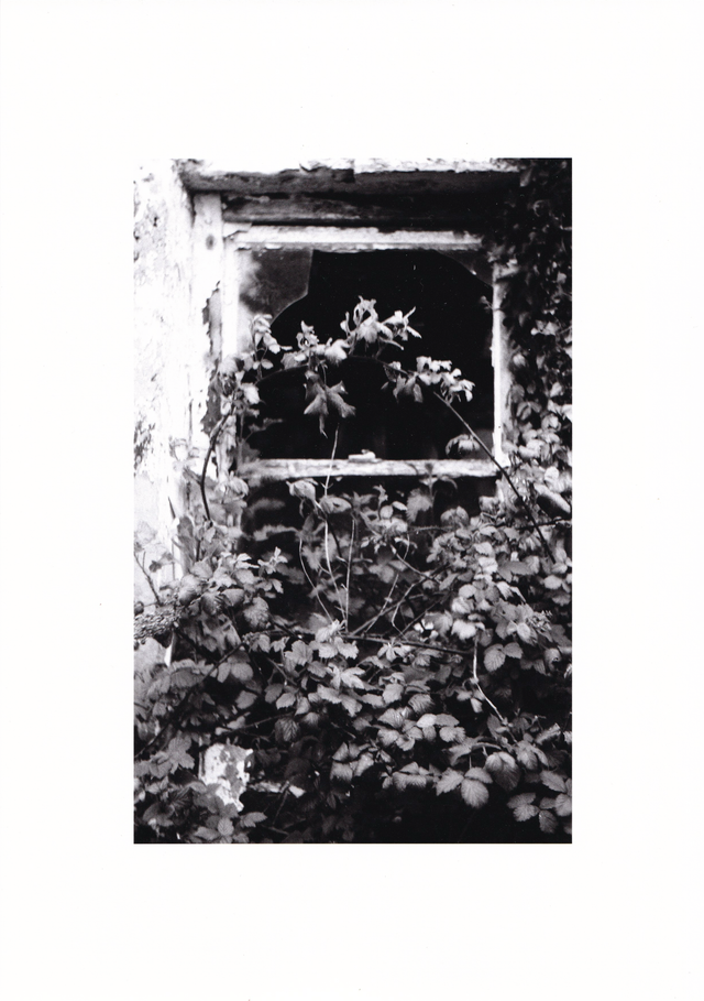 'Looking in' Photograph