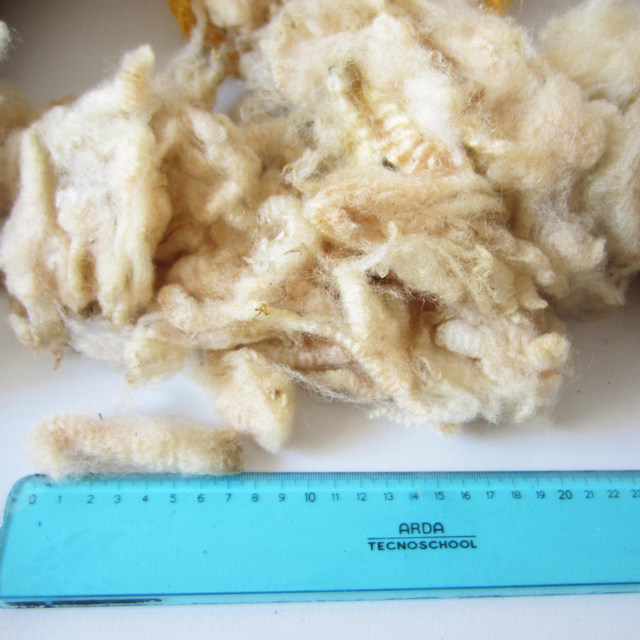 Riccioli merino (sporco) 50g.