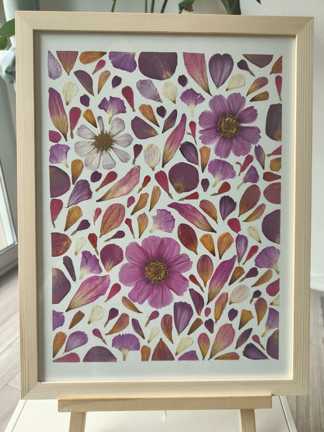 Herbier conservation de bouquet sur papier