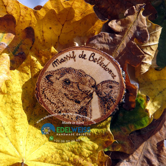 Belledonne - Marmotte