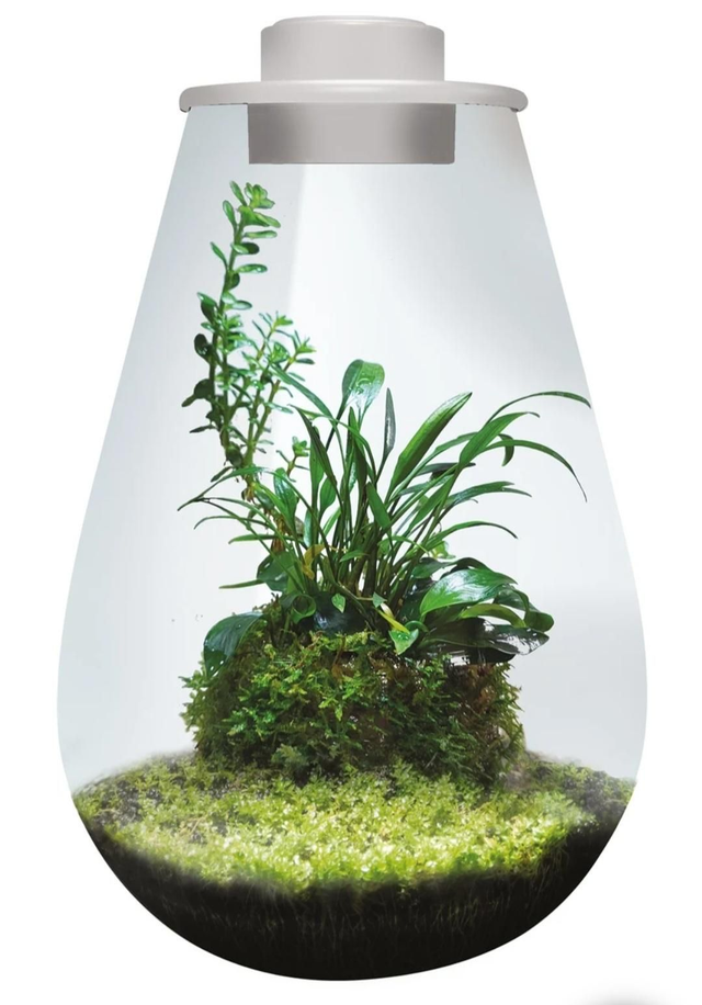 Bio art drop 285 wit 8715897349492