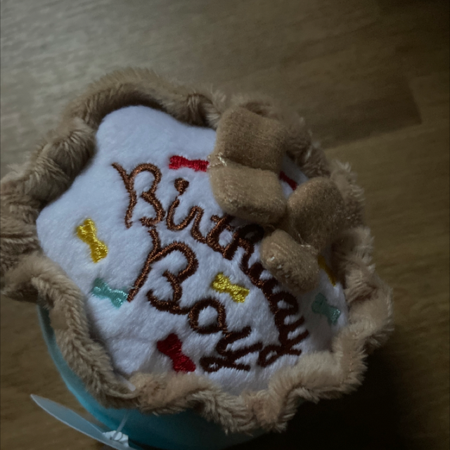 Birthday boy cake dog toy