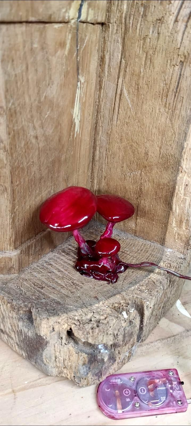 Luminaire champis 🍄 rouge bordeaux