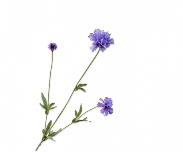 Silk-Ka Korenbloem tak licht lavendel