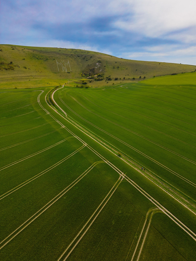 Long Man of Wilmington - East Sussex | Prints &amp; Mounts | Aerial Photography