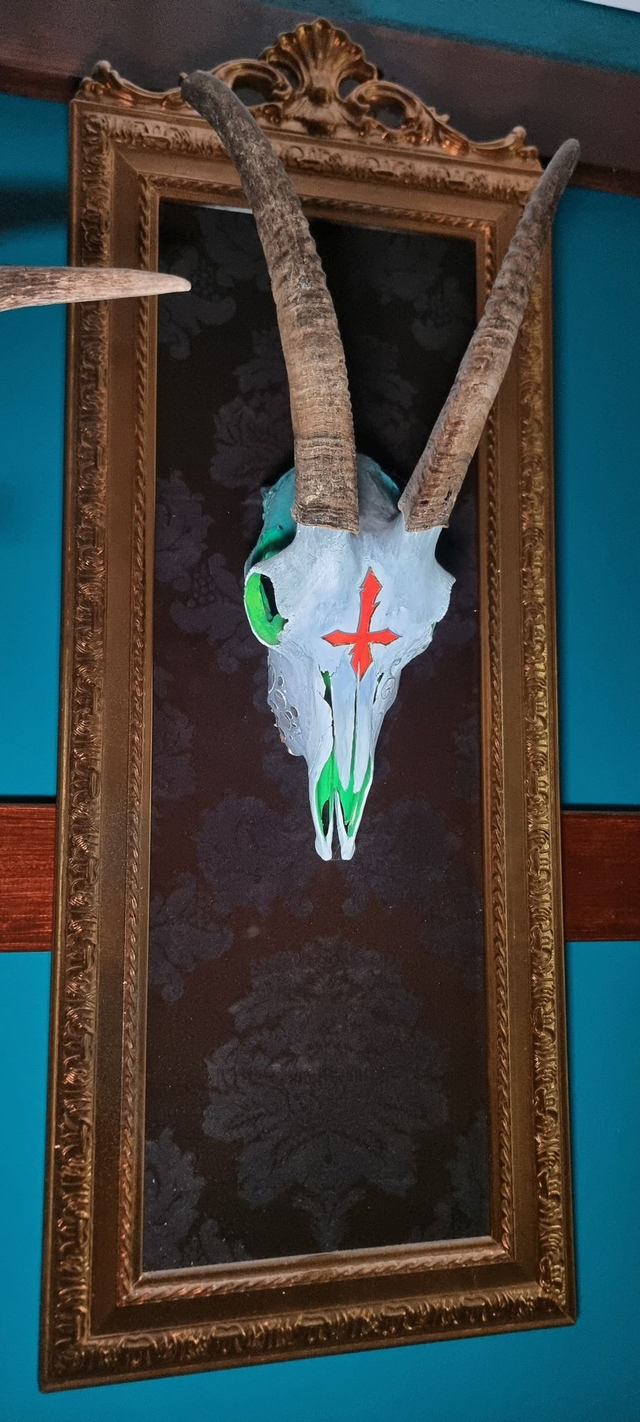 Ziegenschädel echt, bemalt, auf Rahmen zum aufhängen, ca 90cm x 35cm