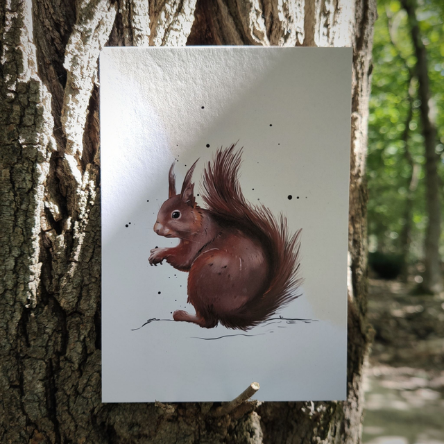ÉCUREUIL - Illustration formats A6 ou A5