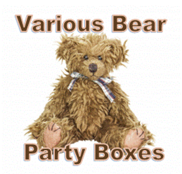 Party Boxes Bear