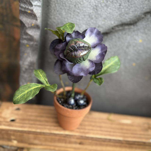 🫐Specimen: The Nightberry Bloom