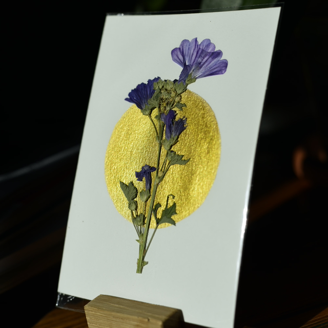 carte postale • malva 