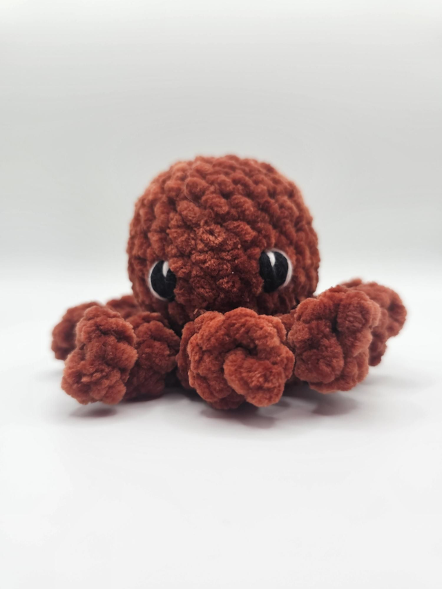Little Octopus