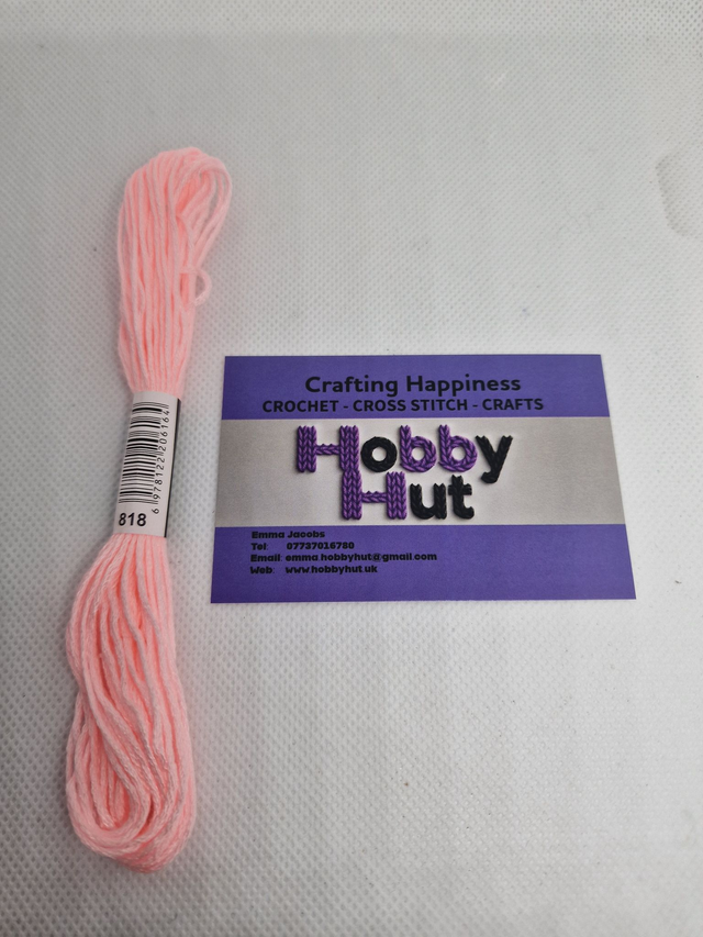 Embroidery Thread - 818