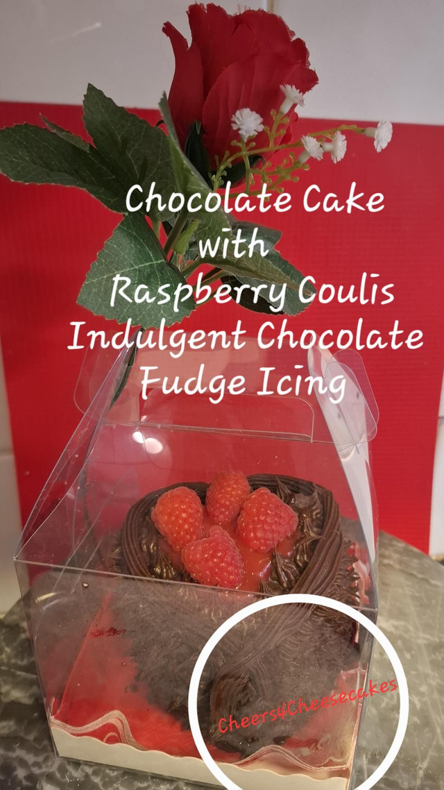 Chocolate Cake with Raspberry Coulis and Indulgent Chocolate Fudge Icing. 