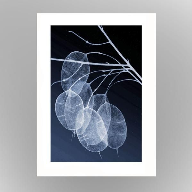 'White Honesty' cards x 3