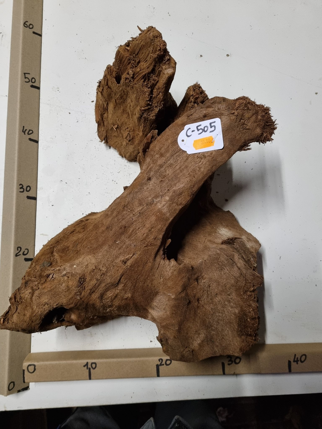 Racine Mangrove C-505