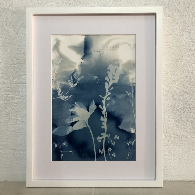 Cyanotype - « Entrées maritimes »