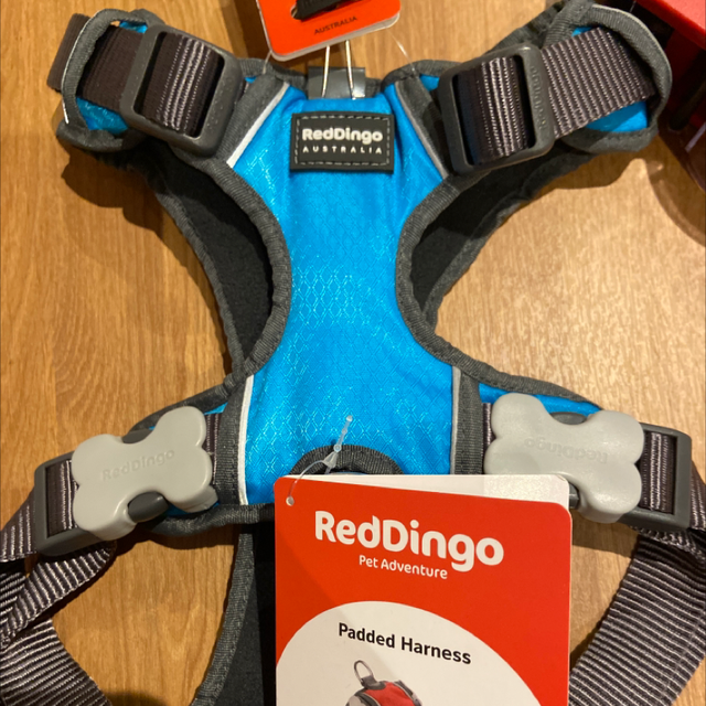 Harnesses RedDingo-L