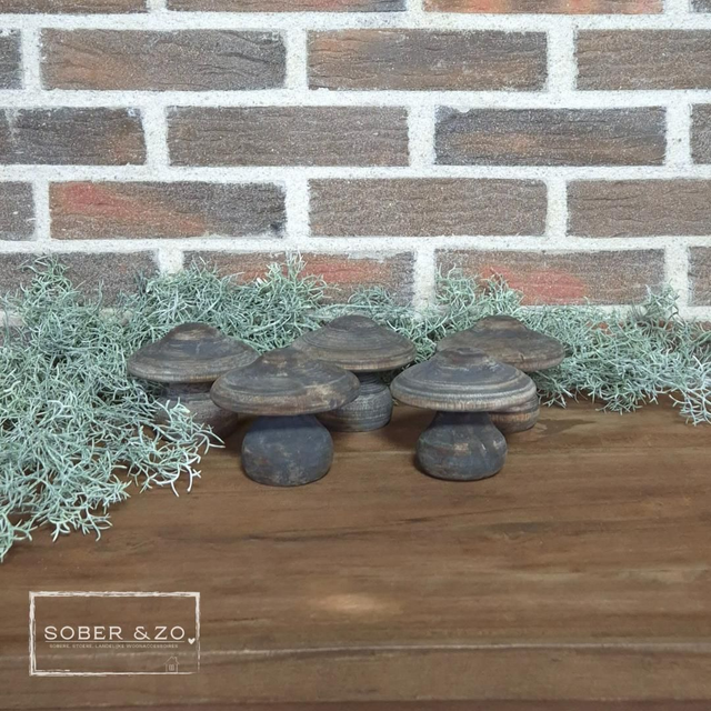 Paddenstoel hout 2