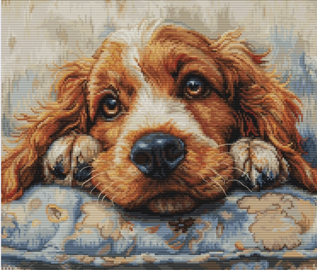 Cross Stitch Kit Luca-S - Cocker Spaniel
