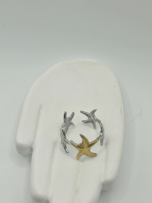Stainless Steel Ring (SSR42J)