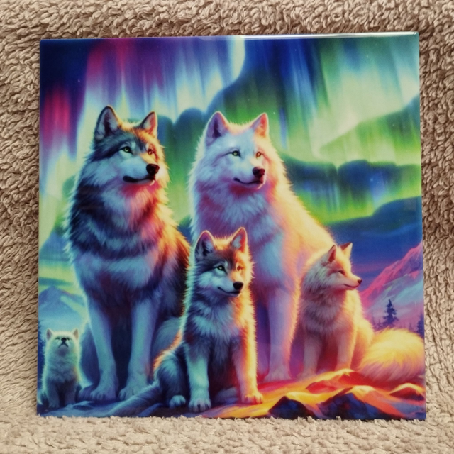 Loups aurore boréale