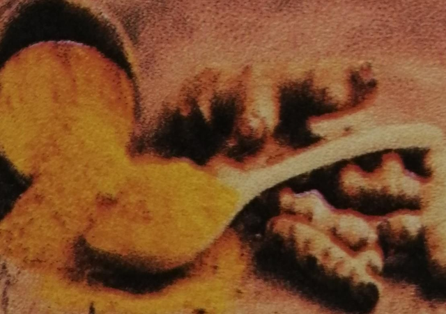 Curcumine 70 Caps. / verpakking 400 mg