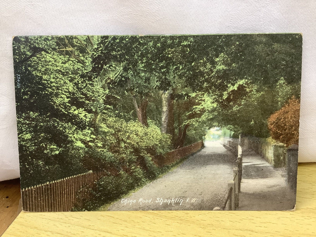 Shanklin, Chine Road, Isle of Wight. The Wrench Series Vintage Postcard. Our Ref No. R601 £2.50
