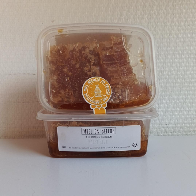 Miel polyfloral d'Auvergne en Brèche 