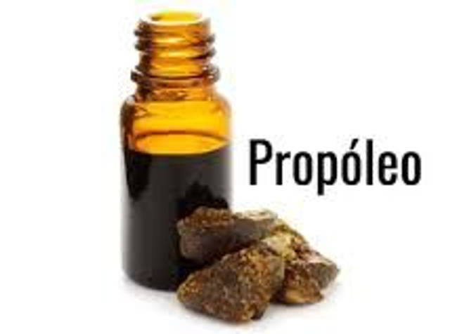 TINTURA DE EQUINÁCEA Y PROPÓLEO BIO