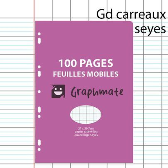100 pages Feuillets mobiles A4 GRAPHMATE Prestige grands carreaux Séyès 90g perforés 3240180080219