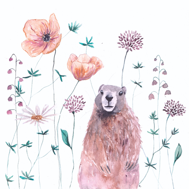 Cadre - Marmotte