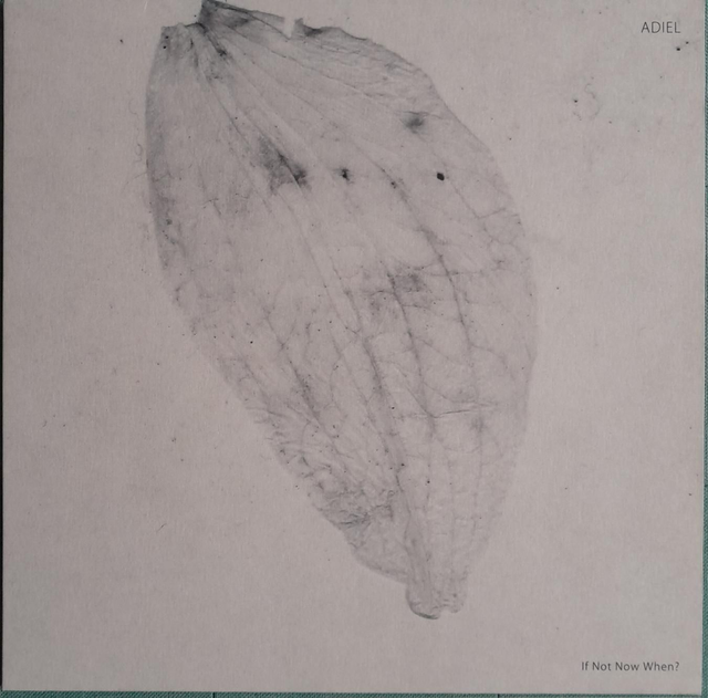 Adiel ‎- If Not Now When? - SA036 - 12"