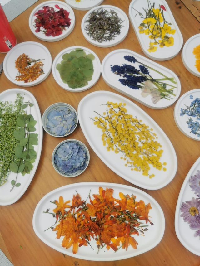 Atelier herbier 28/10