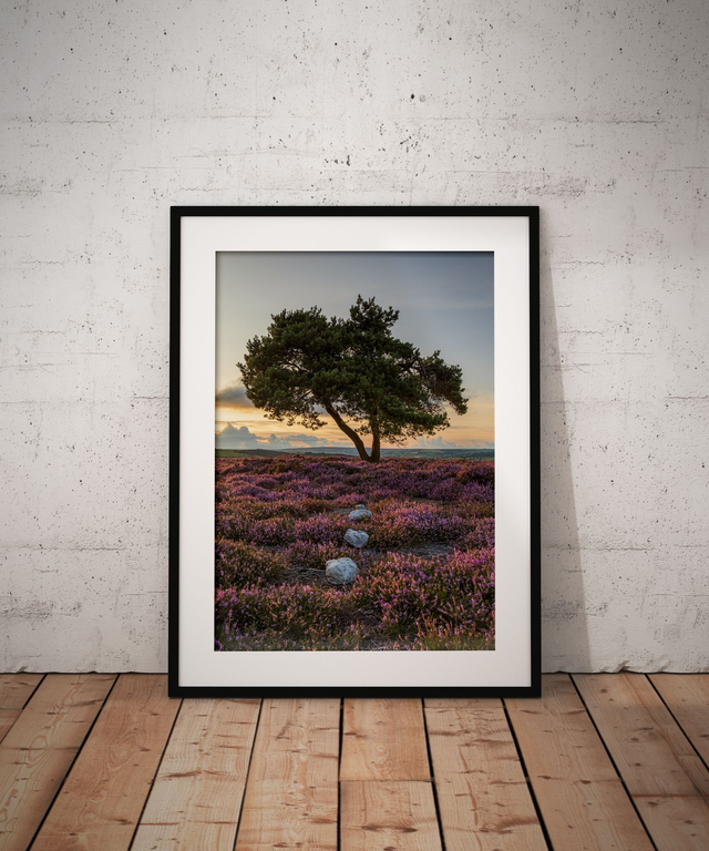 Led To Loneliness, Egton