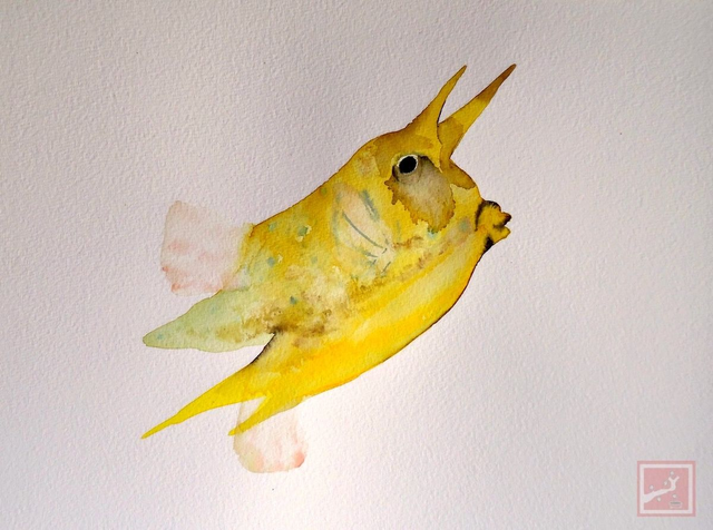 boxfish