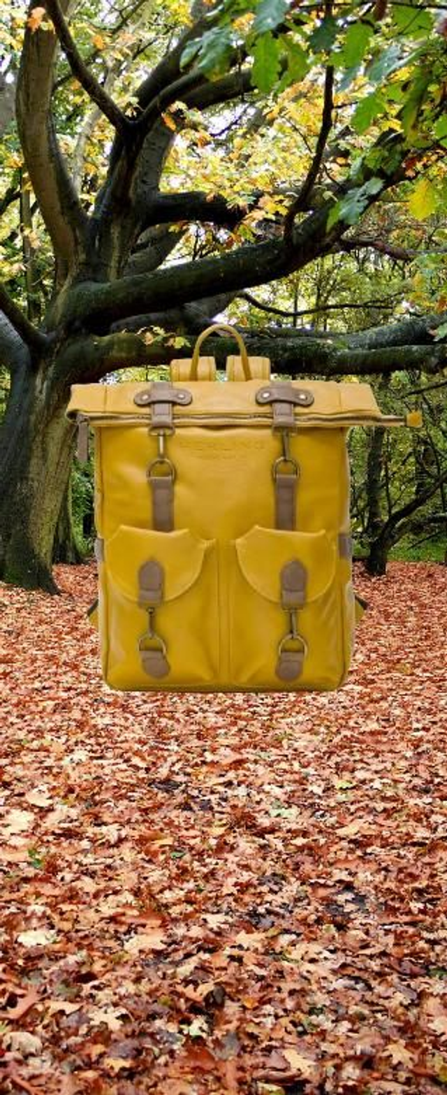 Sac à dos en cuir