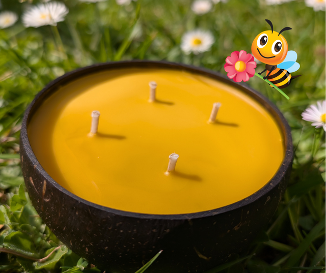 Bougie BIO à la cire d&#039;abeille