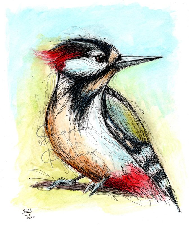 Scribble woodpecker watercolour