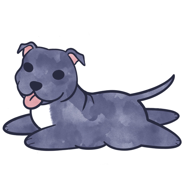 Staffordshire Bull Terrier