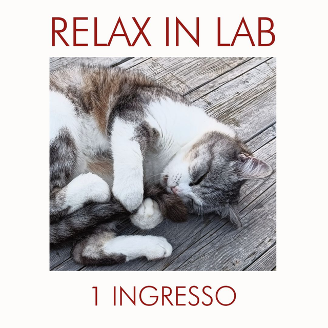 RelaX in LAB  - singolo 