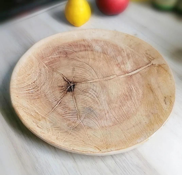 Krožnik prerez debla